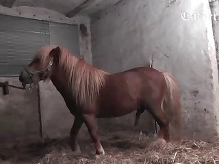 Xxx Video Xnxx Full Hd