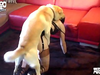 Xxx Xnxx 2022