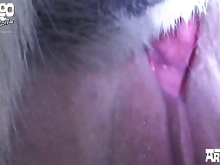 Xxx Xnxx 2022