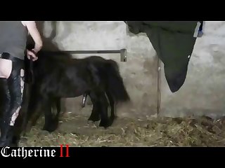 Animal Crossing Ankha Zone Porn Video