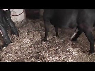 Xxx Blacked Xnxx