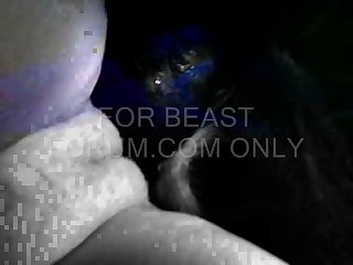 Animal Sex Pornvideos