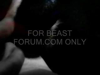 Animal Sex Pornvideos