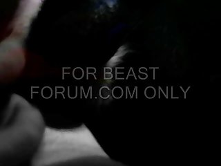 Animal Sex Pornvideos