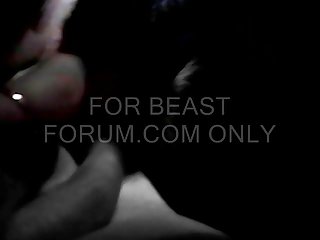 Animal Sex Pornvideos