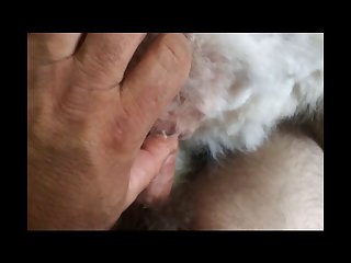 Xxnx Animal Mating
