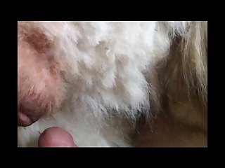 Xxnx Animal Mating