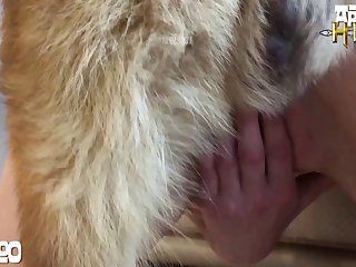 Sissified Animal Sex Just about Man