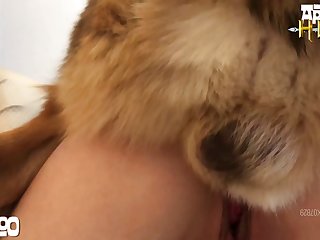 Sissified Animal Sex Just about Man