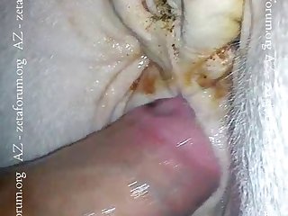 Undignified Animal Sexual relations Toys