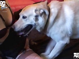 Animal Sex Vagina