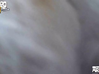 Animal Sex Vagina