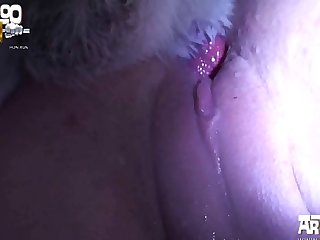 Animal Sex Vagina