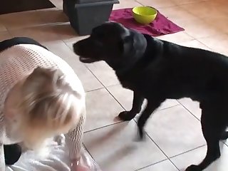 Amanda Seyfried Dog Porn