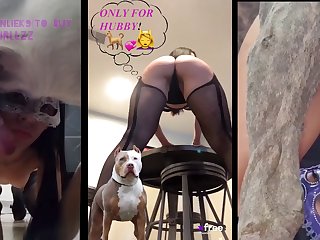 Gay Dog Porn Advantage