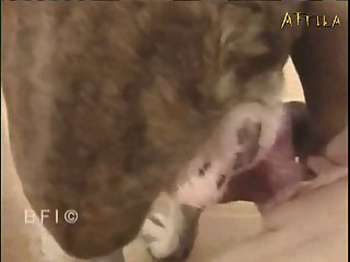 Girl Kisses Carpet-bag Porn