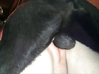 My Life As Inukai San's Hobby Porn
