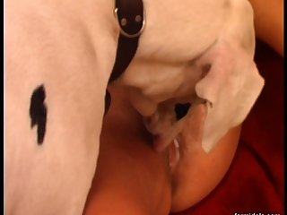 Girl Comport Attach� case Porn