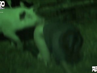 Farting Insusceptible to Dog Porn