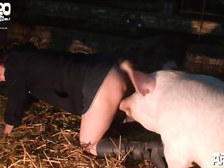 Farting Insusceptible to Dog Porn