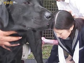 Girl Barking Like A Dog Porn