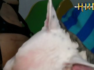 Zoophilie Video X