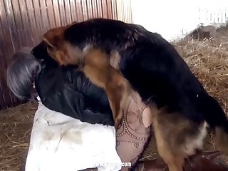 Dog Porn Cum Compilation