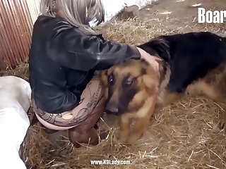 Dog Porn Cum Compilation