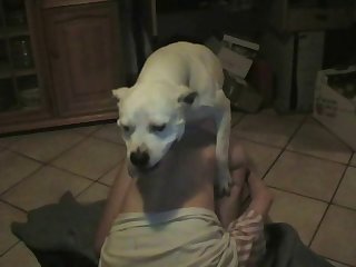 Dog Porn Gang Burgeon