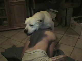 Dog Porn Gang Burgeon