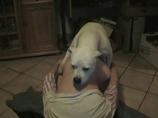 Dog Porn Gang Burgeon