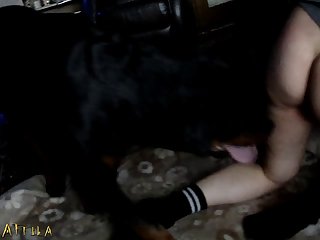 Animal Dog Porn Gif