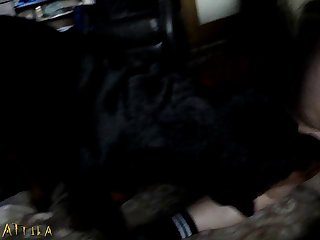 Animal Dog Porn Gif