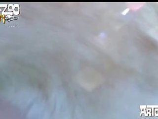4chan Dog Porn