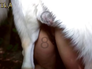Feeding Dog Porn