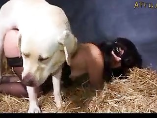 Zoophilie Wikipedia
