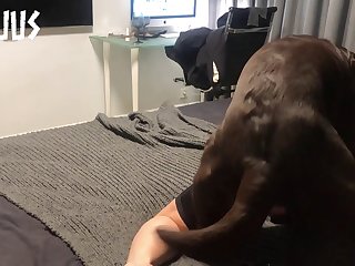 Hot Girls And Dog