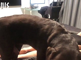 Hot Girls And Dog