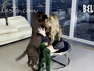 Getting Knotted By Dog