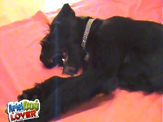 Adult Zoophilie