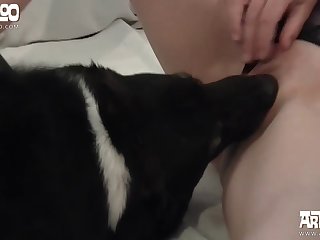 Bowowow Dog Xxx