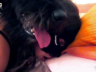 E Sweeping Dog Xxx