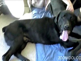 Fucking With A Dog Xxx