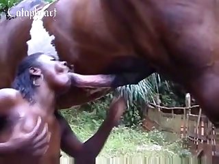 Zoo Porn Ape