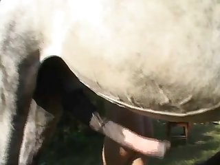 Zoo Porn Blow