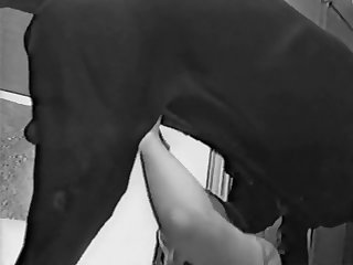 Video De Sexo Da Japonesa