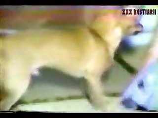 Video De Sexo Padastro