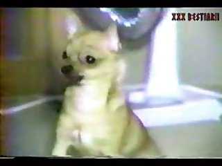 Video De Sexo Padastro