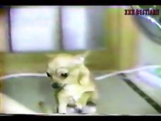 Video De Sexo Padastro