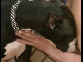 Savage Hunter Murderousness a harm Porn